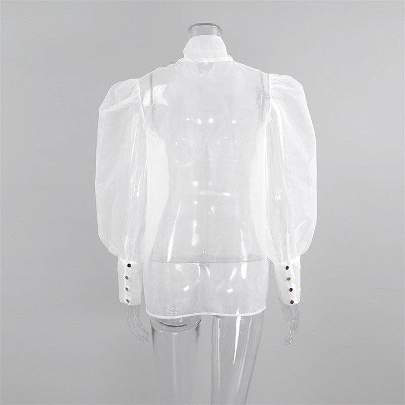 Bow Neck Mesh Puff Sleeve Blouse