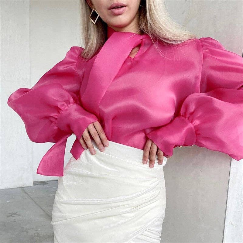 Bow Neck Mesh Puff Sleeve Blouse