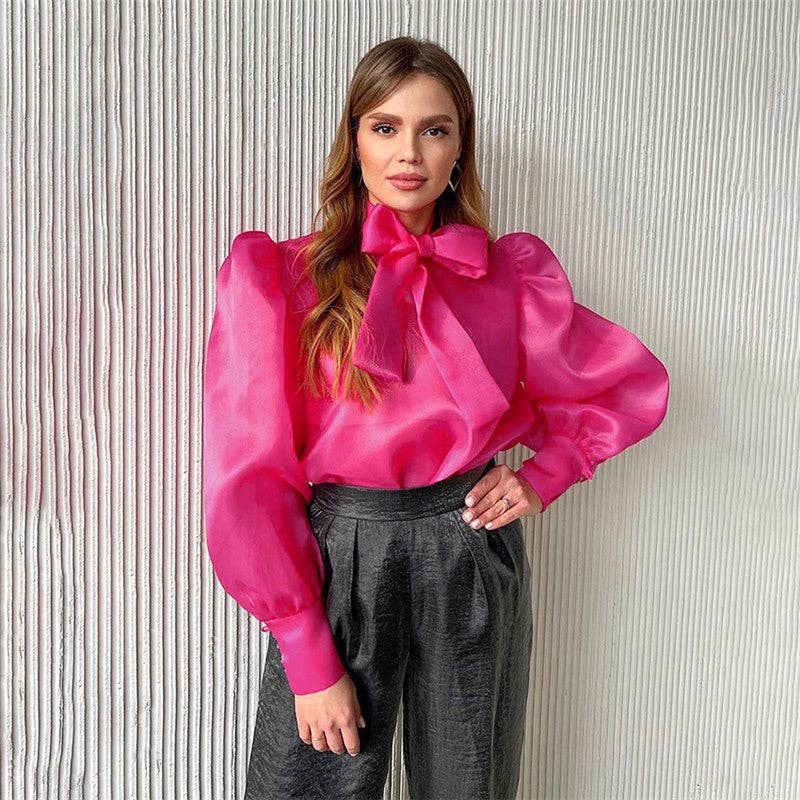 Bow Neck Mesh Puff Sleeve Blouse