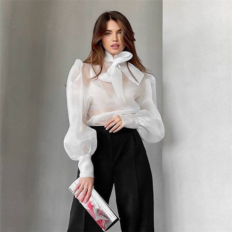 Bow Neck Mesh Puff Sleeve Blouse