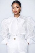 Sheer Puff Sleeve Top