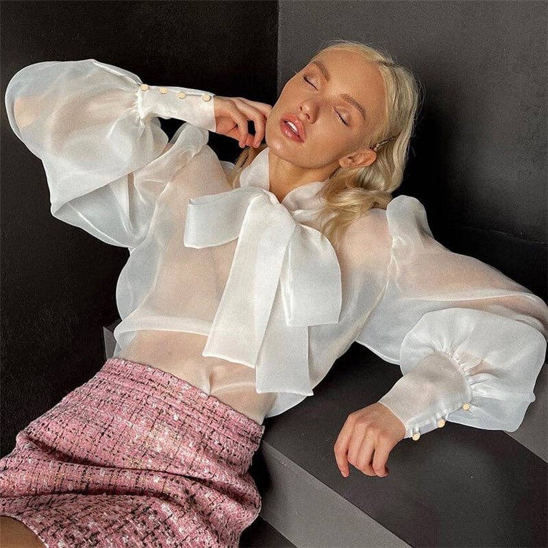 Bow Neck Mesh Puff Sleeve Blouse