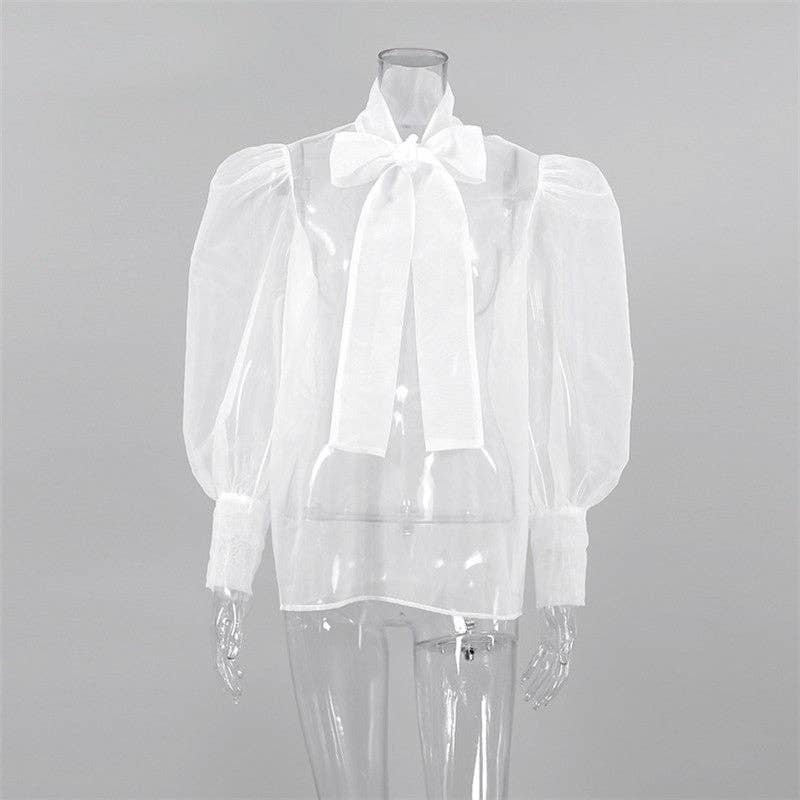 Bow Neck Mesh Puff Sleeve Blouse