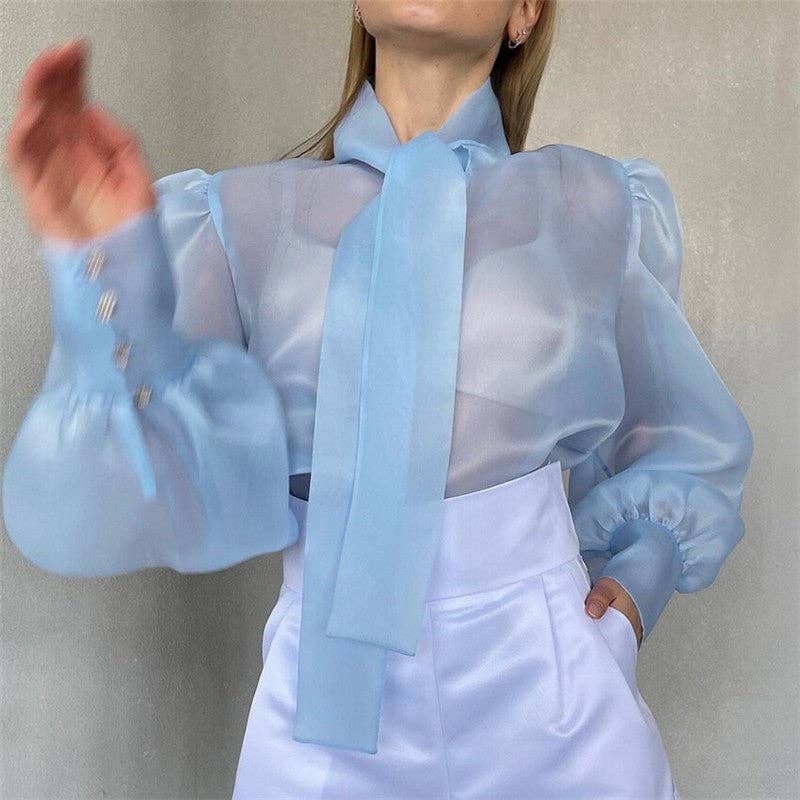 Bow Neck Mesh Puff Sleeve Blouse
